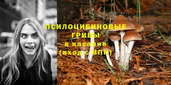 не бодяженный Балахна