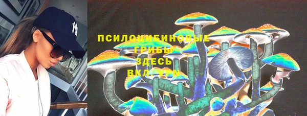 сатива Балабаново