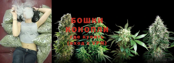 сатива Балабаново